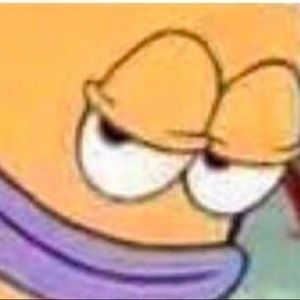 Meet your Posher, Betsy